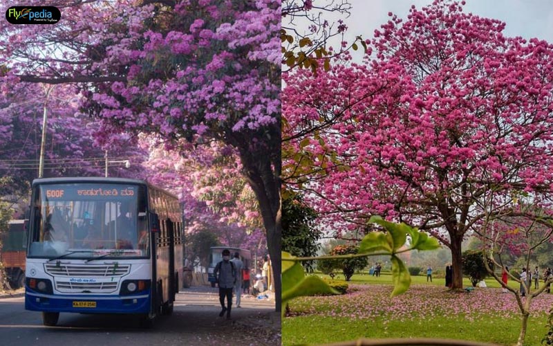 Karnataka