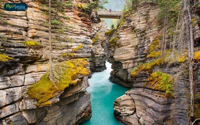 Maligne Canyon