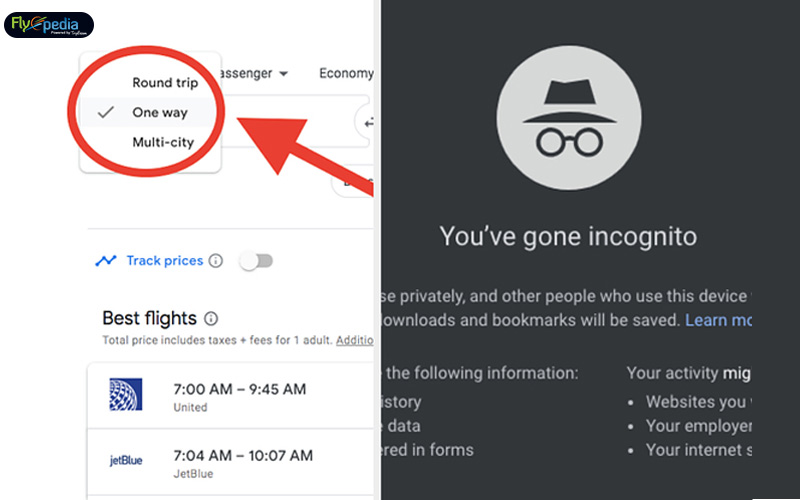 Switch to Incognito Mode while booking flights