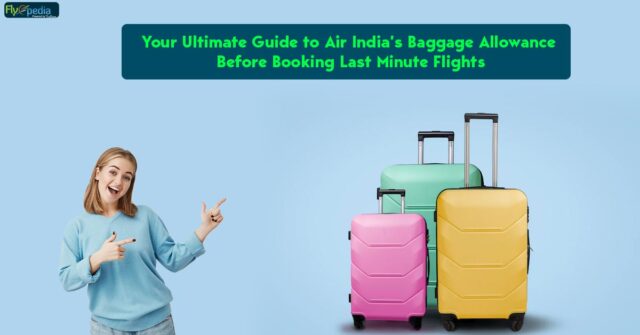 Your Ultimate Guide to Air India Baggage Allowance