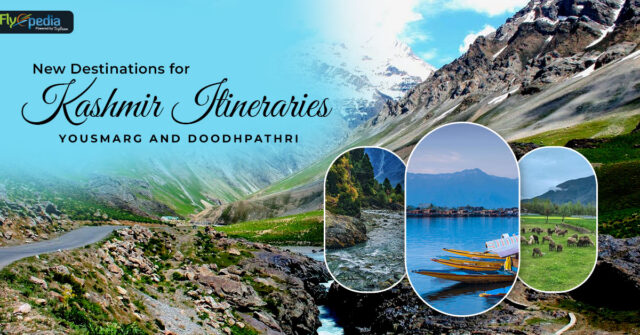 New Destinations for Kashmir Itineraries Yousmarg and Doodhpathri