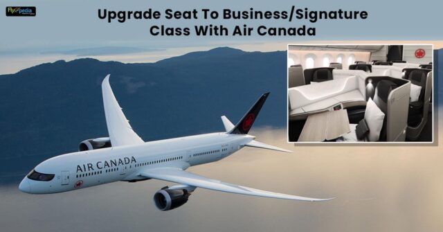 Upgrade Seat To Business Signature