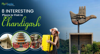 8 Interesting Places to Visit in Chandigarh