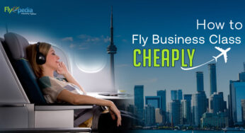 How to Fly Business Class Cheaply?