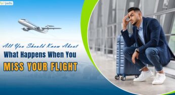 All You Should Know About What Happens When You Miss Your Flight