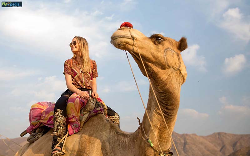 Camel Safari @ Pushkar