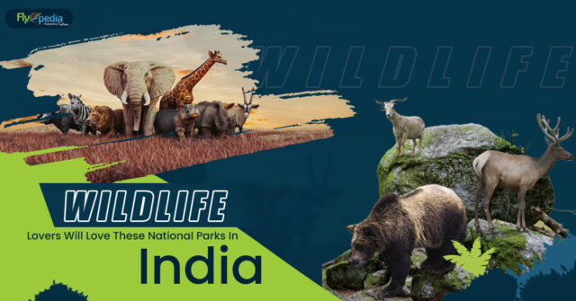 Wildlife Lovers Will Love These National Parks In India