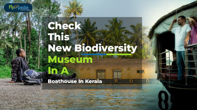 Check This New Biodiversity Museum In A Boathouse In Kerala