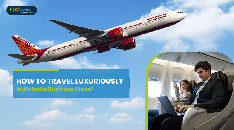 How To Travel Luxuriously In Air India Business Class?