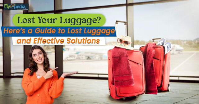 Lost Your Luggage Here’s a Guide to Lost Luggage and Effective Solutions