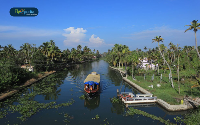 What to look out for in the Boathouse Biodiversity Museum of Kerala01