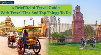 A Brief Delhi Travel Guide With Travel Tips And Top Things To Do