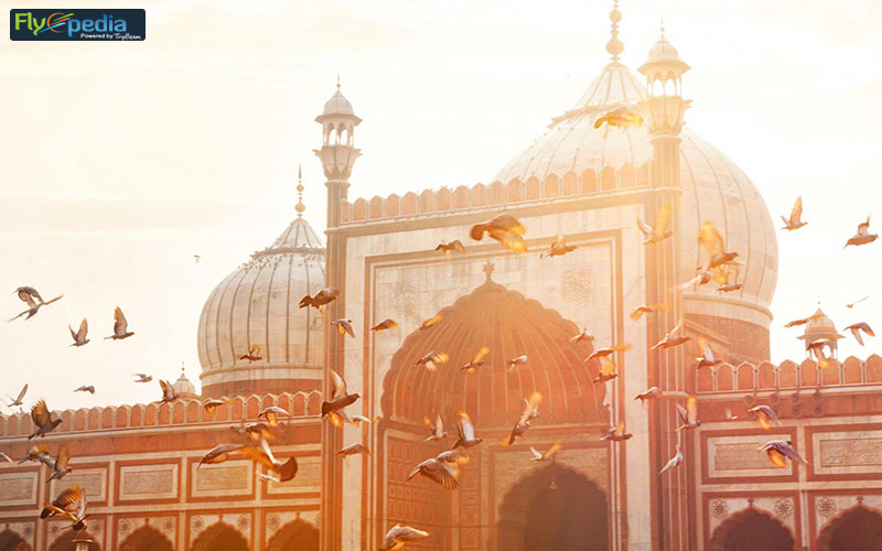 Delhi Travel Handbook The Ultimate Guide To Shop Eat & More