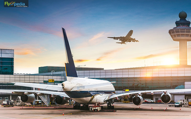 Understand Airline Regulations and Policies