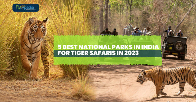 5 Best National Parks in India for Tiger Safaris in 2023