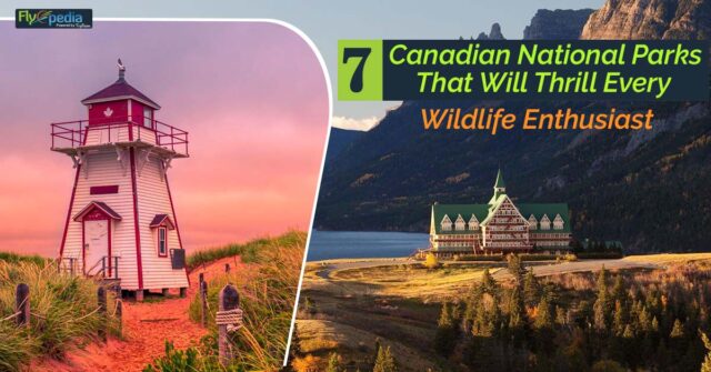 7 Canadian National Parks That Will Thrill Every Wildlife Enthusiast