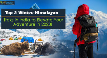 Top 5 Winter Himalayan Treks in India to Elevate Your Adventure in 2023!