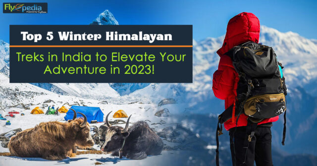 Top 5 Winter Himalayan Treks in India to Elevate Your Adventure in 2023!