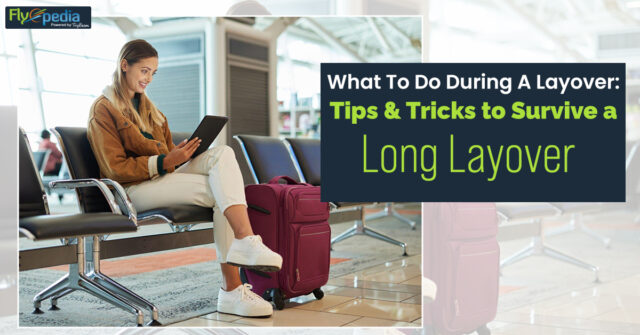 What To Do During A Layover Tips & Tricks to Survive a Long Layover
