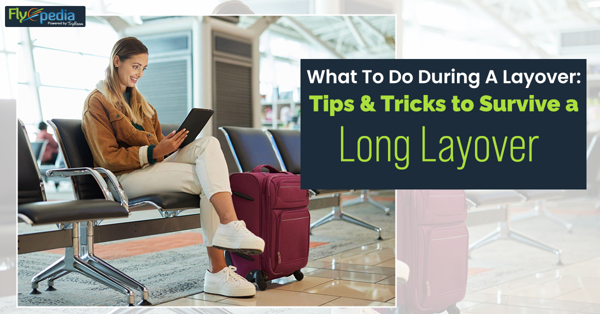 What To Do During A Layover: Tips & Tricks to Survive a Long Layover