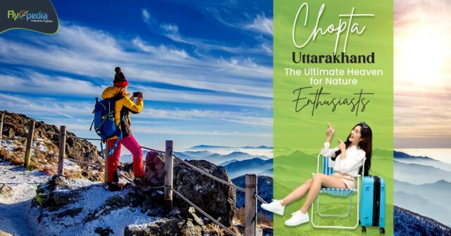 Chopta Uttarakhand The Ultimate Haven for Nature Enthusiasts