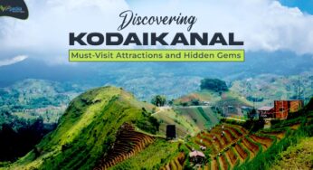 Discovering Kodaikanal: Must-Visit Attractions and Hidden Gems