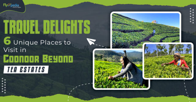 Travel Delights 6 Unique Places to Visit in Coonoor Beyond Tea Estates