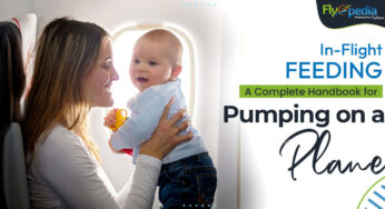 In-Flight Feeding: A Complete Handbook for Pumping on a Plane
