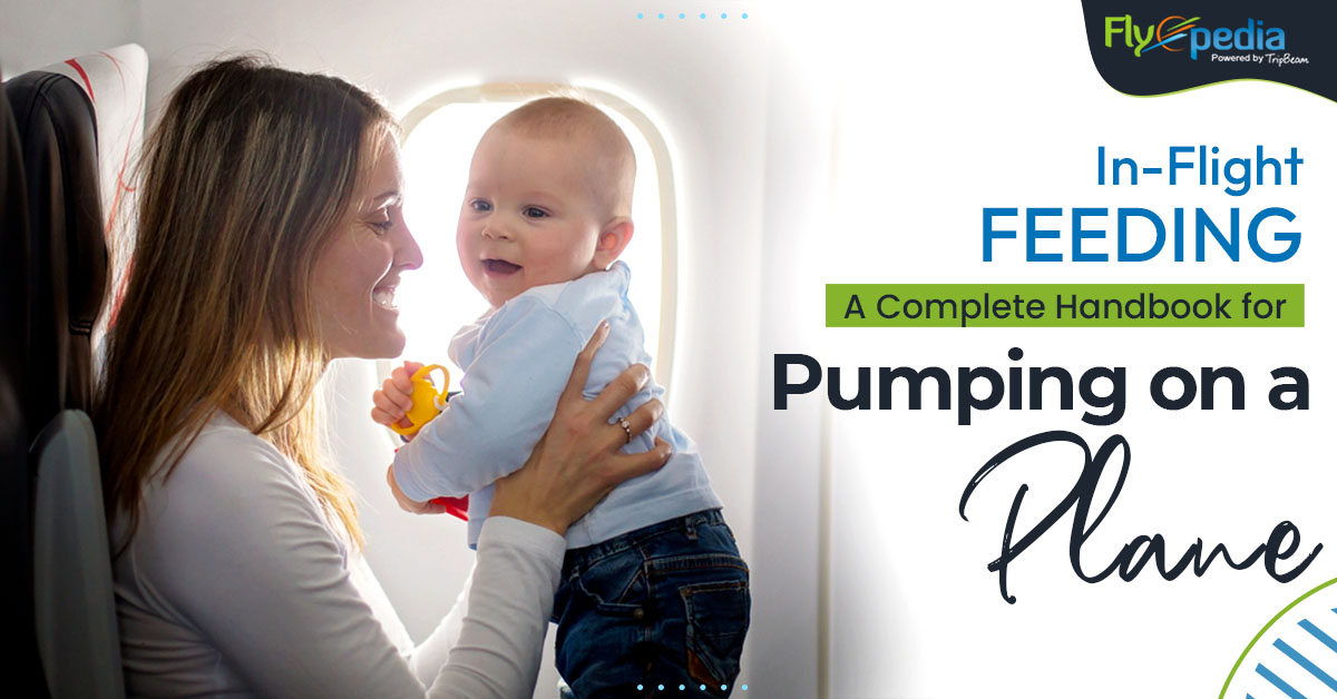 In-Flight Feeding: A Complete Handbook for Pumping on a Plane