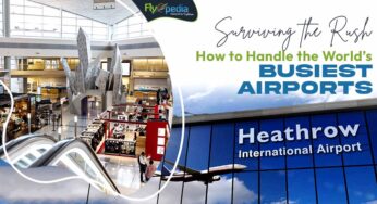Surviving the Rush: How to Handle the World’s Busiest Airports