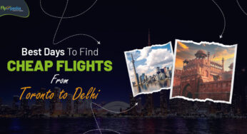 Best Days to Find Cheap Flights from Toronto to Delhi