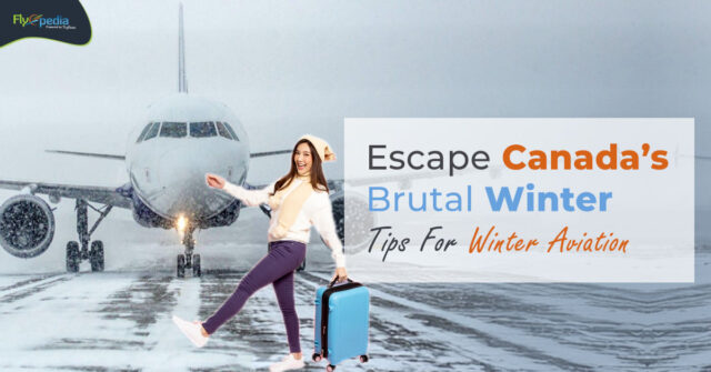 Escape Canada’s Brutal Winter Tips For Winter Aviation Flyopedia ca