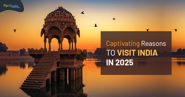 Captivating Reasons To Visit India In 2025 flyopedia ca