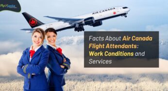 Facts About Air Canada Flight Attendants: Work Conditions and Services