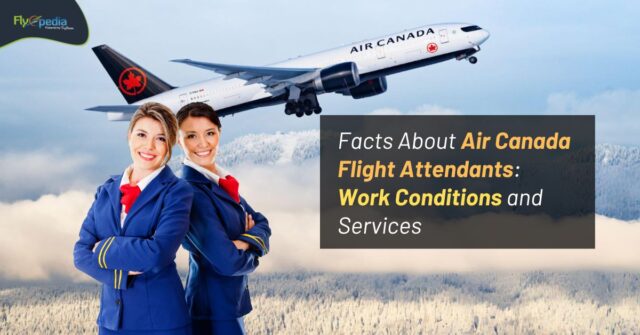 Facts About Air Canada Flight Attendants Work Conditions and Services Flyopedia ca