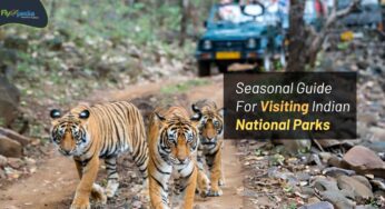 Seasonal Guide For Visiting Indian National Parks