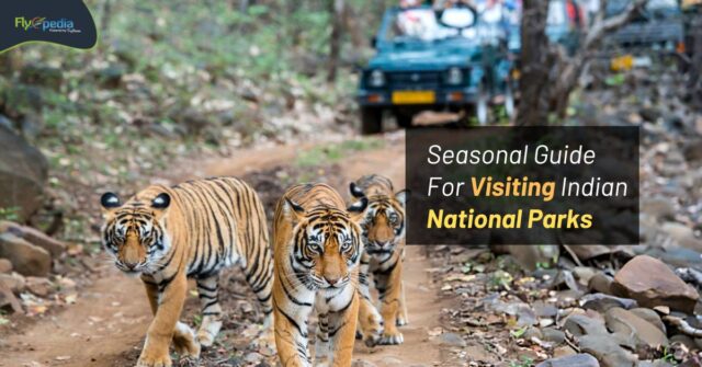 Seasonal Guide For Visiting Indian National Parks Flyopedia ca