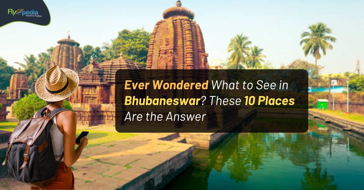 Ever Wondered What to See in Bhubaneswar? These 10 Places Are the Answer