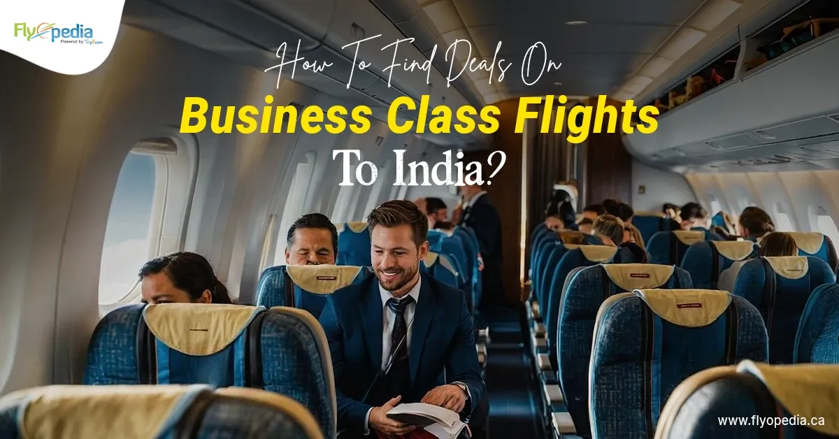 How to Find The Best Deals on Business Class Flights from Canada to India?