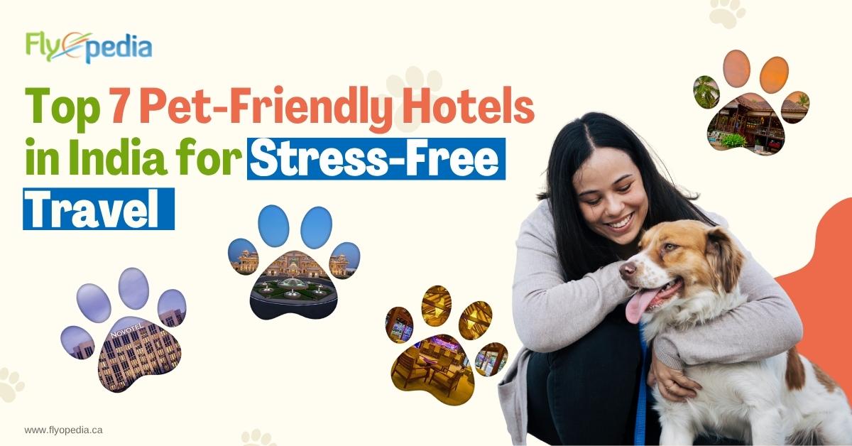 Top 7 Pet-Friendly Hotels in India for Stress-Free Travel